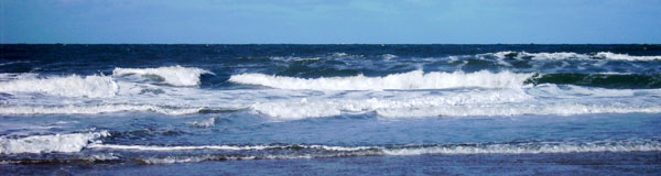 ProbdesMonats_Okt2010