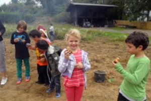 tagaufdemland04