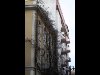 IMG_1817