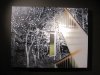 IMG_0347