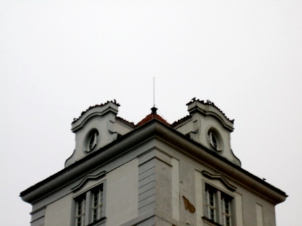 17b