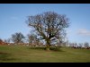 IMG_1093
