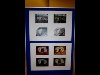 IMG_1178